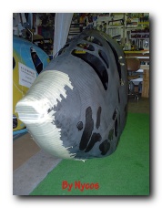 Click to enlarge Zebulon TWO 0013.jpg